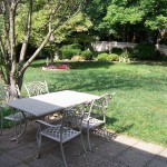 Rear Yard