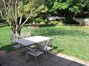 Rear Yard