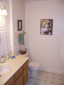 Bathroom in First Floor Bedroom